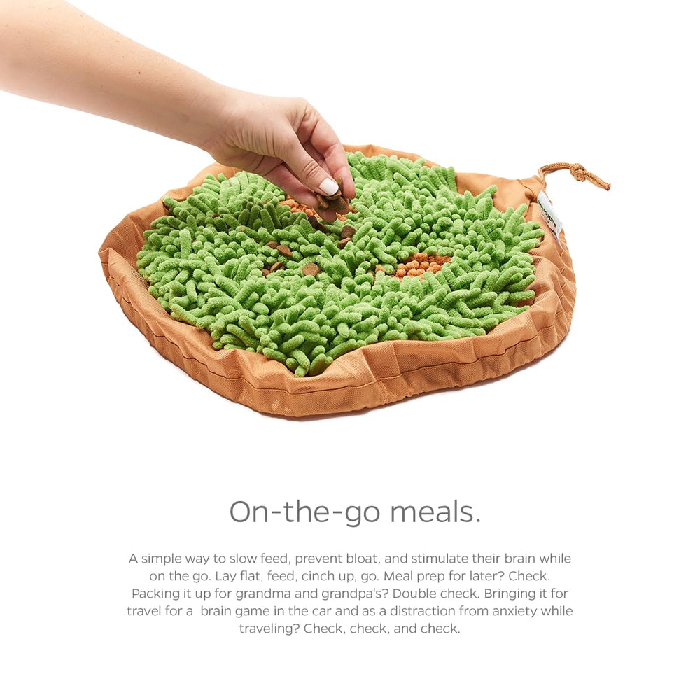 Pet Parents Forager diseño Meadow Natural para perros y gatos