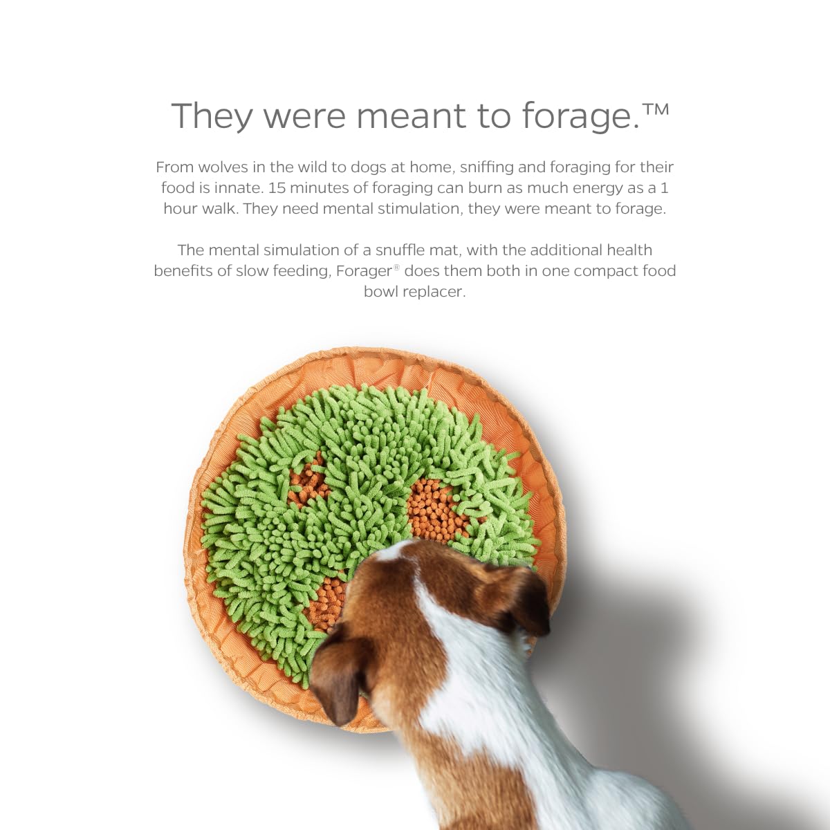 Pet Parents Forager estimulación visual durante la comida lenta