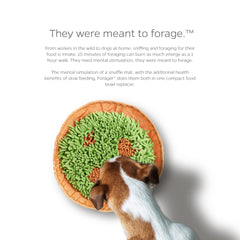 Pet Parents Forager estimulación visual durante la comida lenta