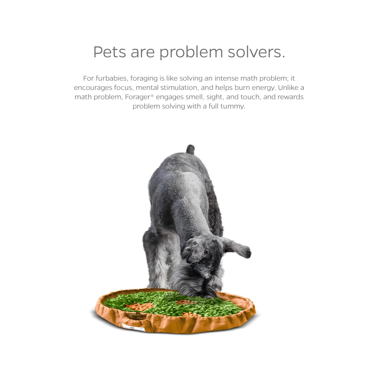 Pet Parents Forager juguete rompecabezas para perros