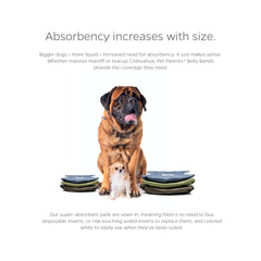 Pañales macho absorbentes de Pet Parents, mantienen la barriga seca.
