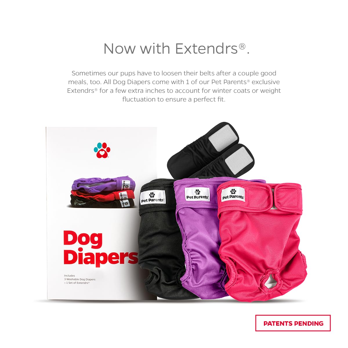 Pañales Pet Parents con cierre de velcro para un ajuste suave y seguro.