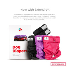 Pañales Pet Parents con cierre de velcro para un ajuste suave y seguro.