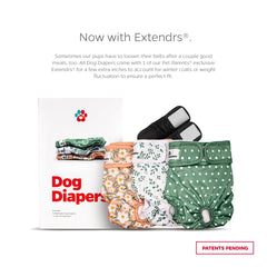 Pañales lavables Pet Parents Daisy, exterior impermeable que previene fugas en alfombras.