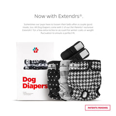 Pañales Pet Parents con cierre velcro seguro para pelaje