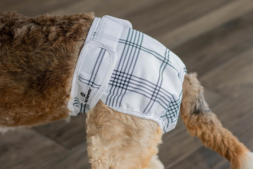 Diseño ergonómico Pet Parents que facilita el movimiento