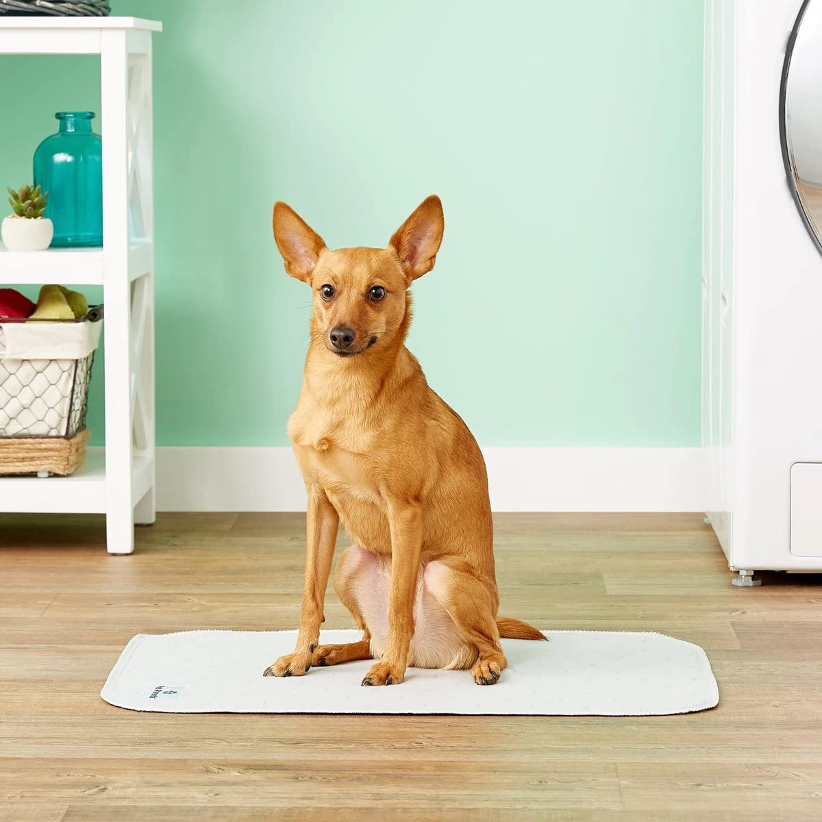 Diseño neutro pawtect pad gris y marrón de Pet Parents