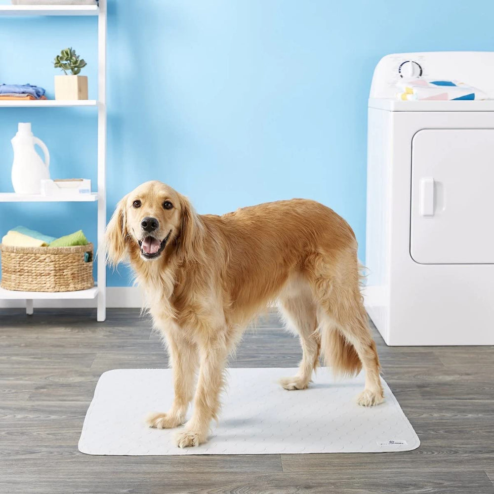 Pawtect tapete 41x41, cobertura amplia