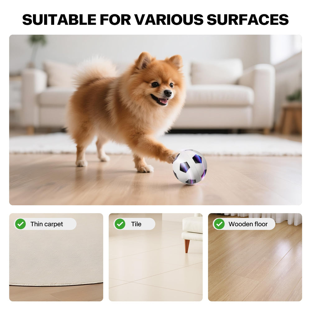 Pet Prime bola con iluminación para juego nocturno
