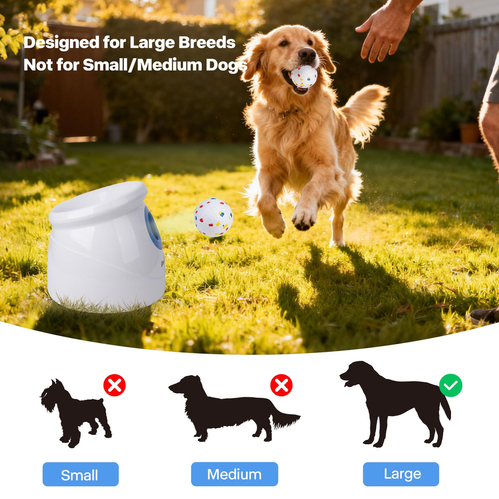 Pet Prime regalo ideal para perros grandes en cumpleaños o fiestas.