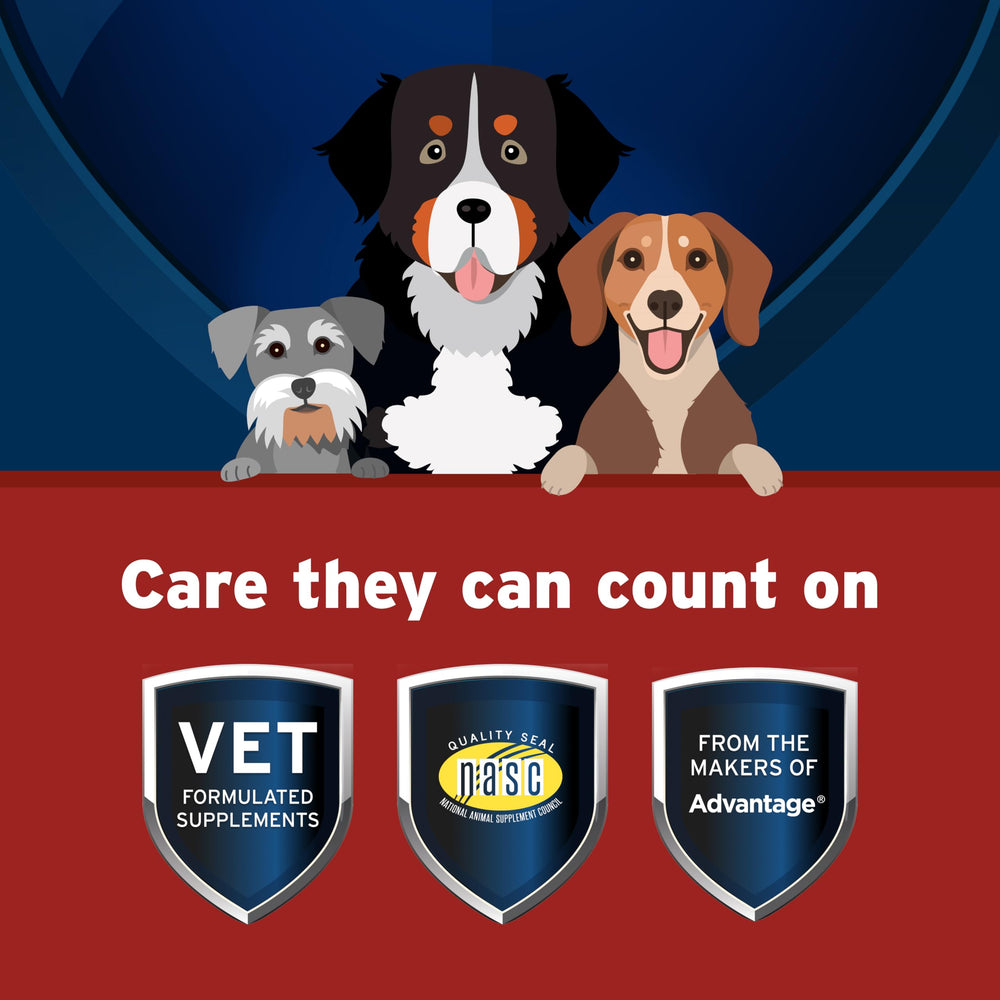Pet Protect Hip & Joint+ perro corriendo; posible beneficio para la actividad diaria.