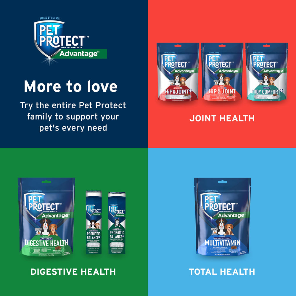 Envase de Pet Protect con sello seguro y etiqueta clara