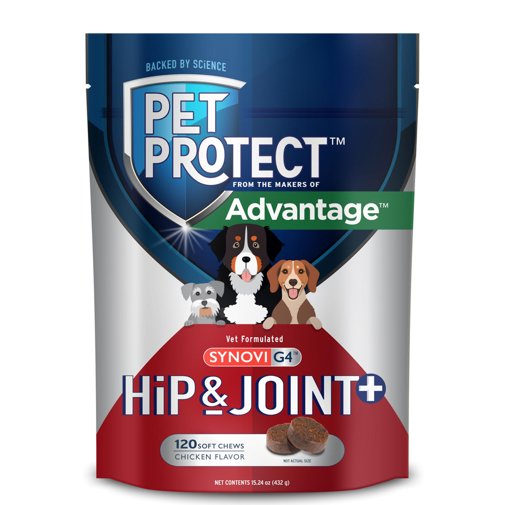 Pet Protect Synovi G4 en caja, fórmula veterinaria para articulaciones