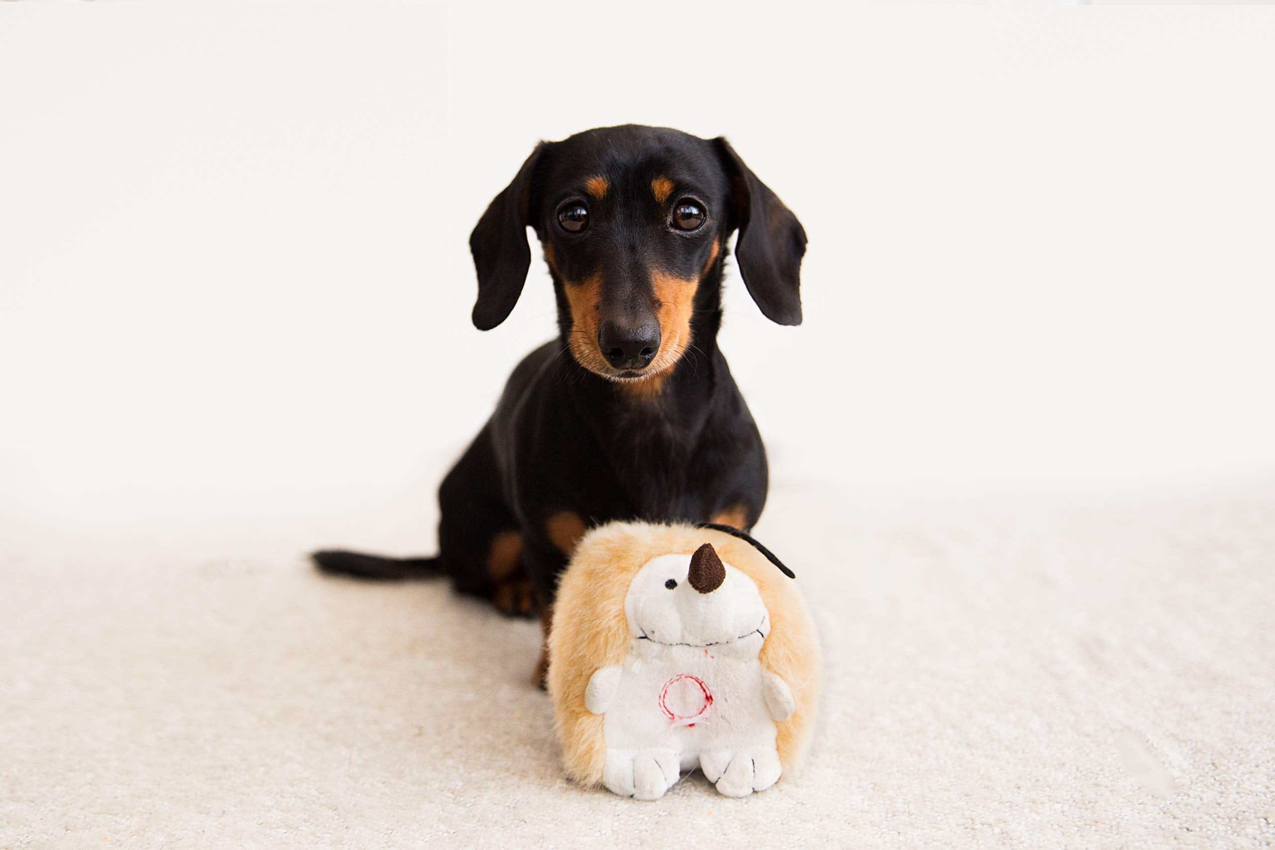 Pet Qwerks peluche interactivo para perros, tacto suave para descansar y jugar.