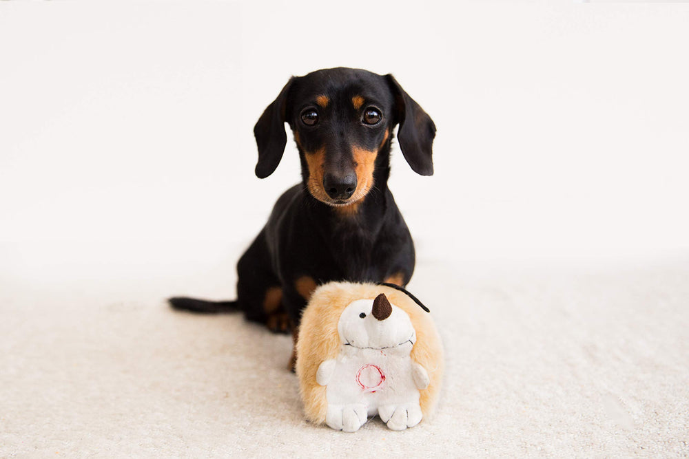 Pet Qwerks peluche interactivo para perros, tacto suave para descansar y jugar.