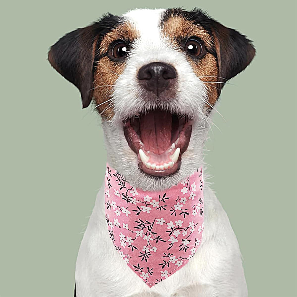 Bandanas PET SHOW con diseños variados para eventos o sesiones.