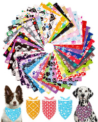 PET SHOW bandanas patitas: diseño llamativo para paseos diarios y fotos memorables.