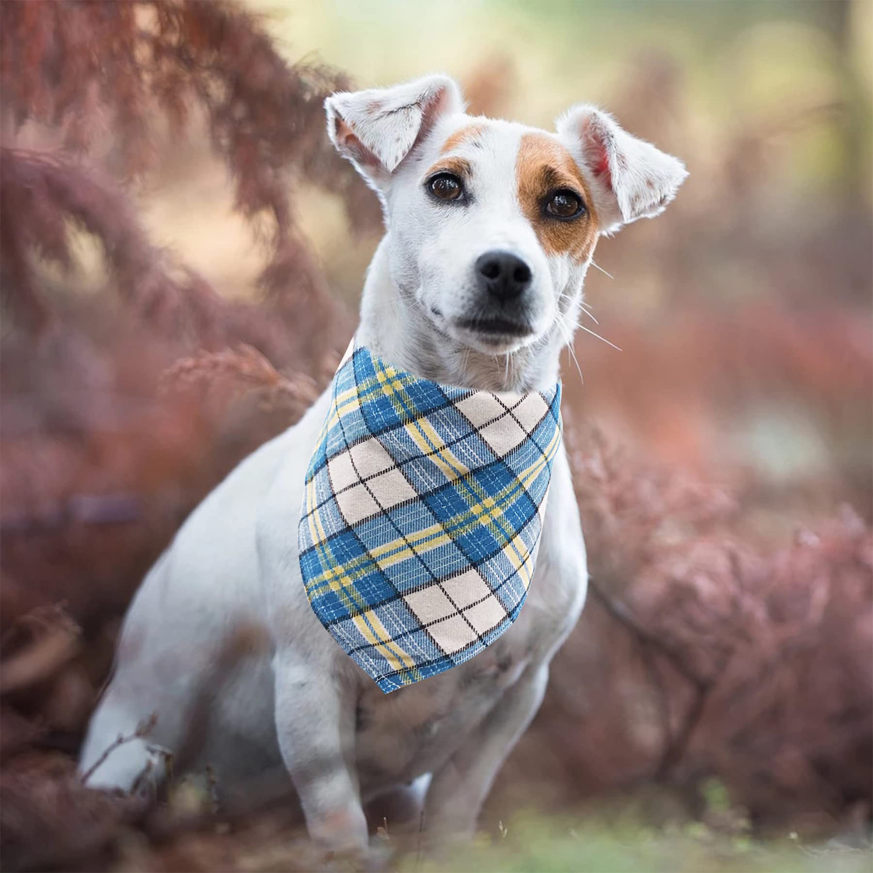 PET SHOW bandanas plaid duraderas y fáciles de ajustar para mascotas.