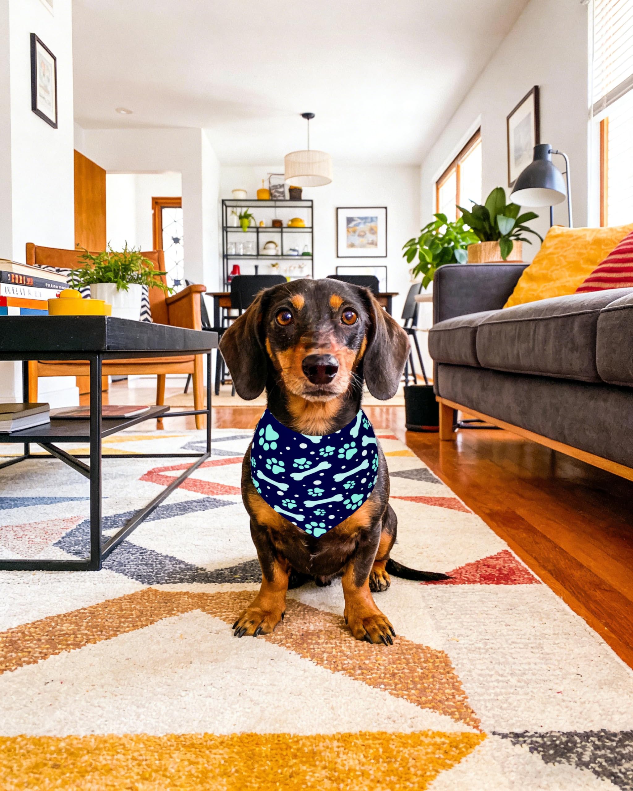 Paquete de 100 bandanas para perros PET SHOW, ahorro y variedad.