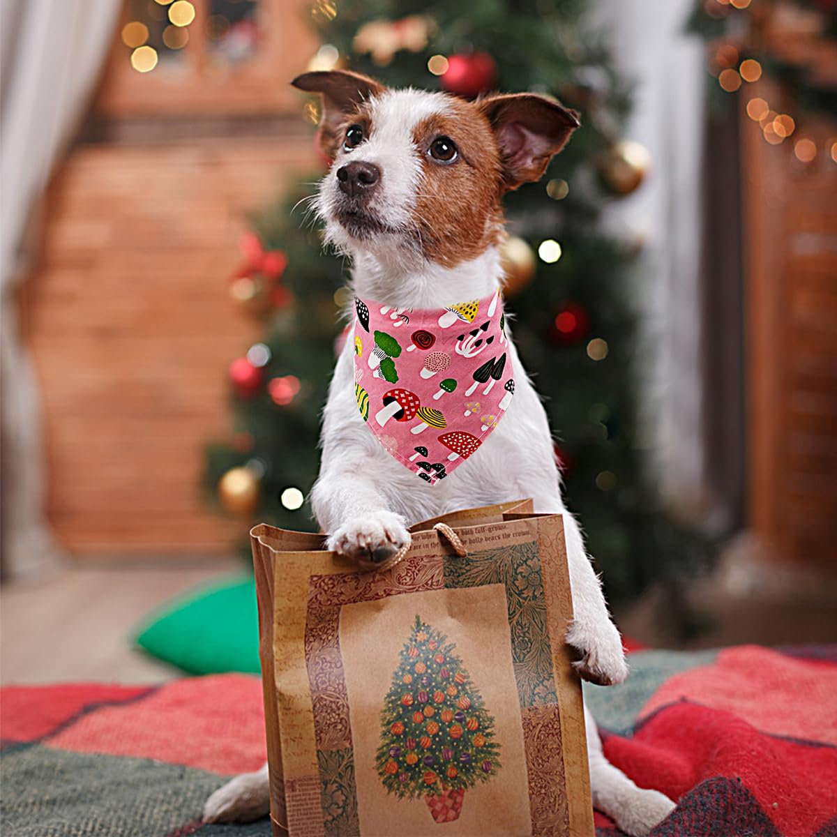 Bandana PET SHOW talla aprox 17.5 pulgadas, ideal para perros pequeños.