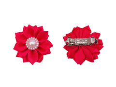 PET SHOW diez colores disponibles para combinar con cualquier look.