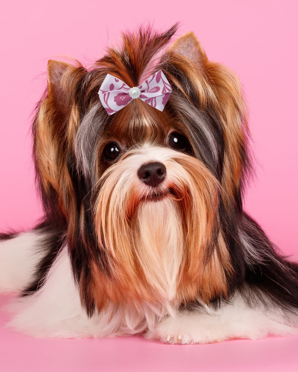 PET SHOW lazo-pelo-para-arreglo-mascotas-rosa útil para festividades.