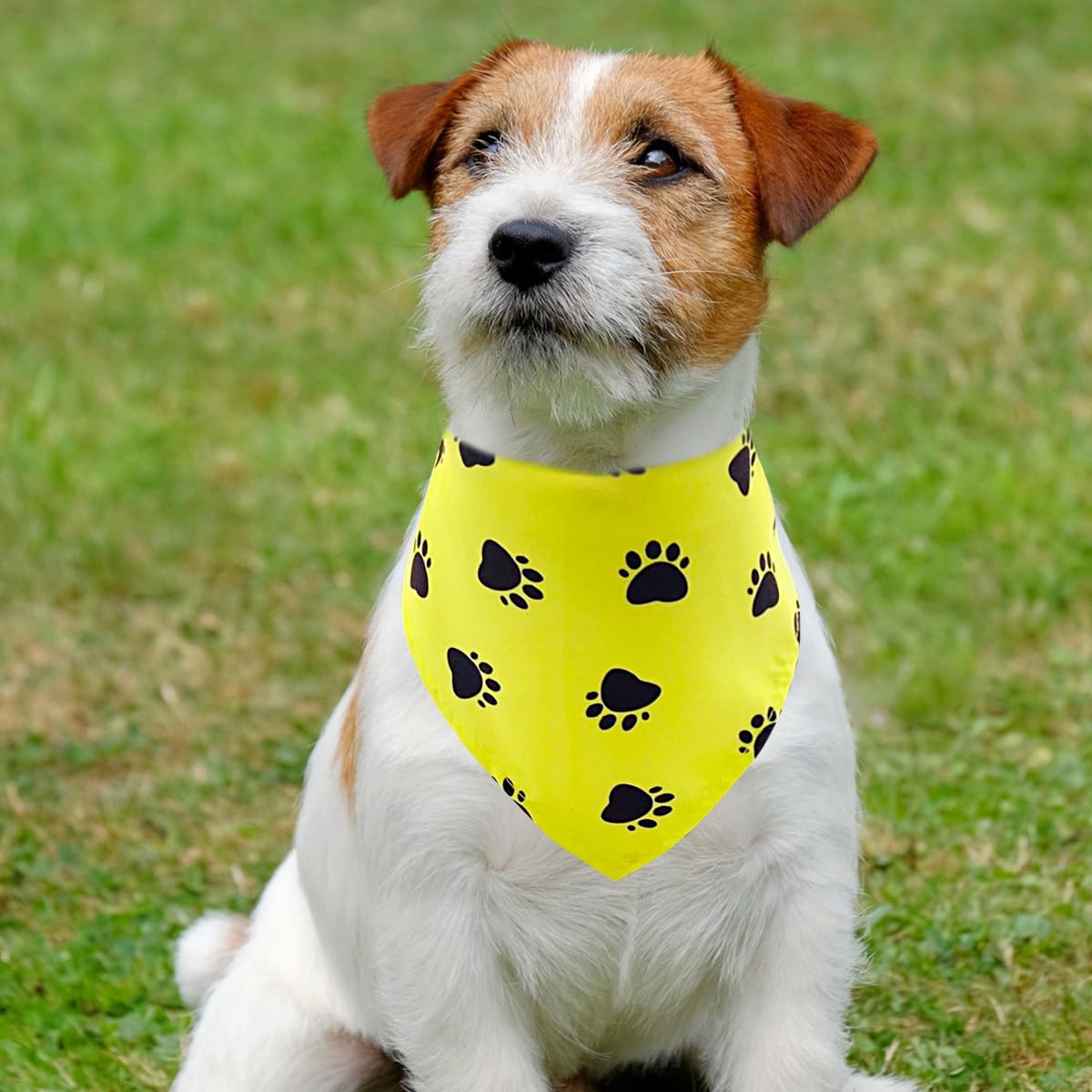PET SHOW pañuelos triangulares con patitas, juego de 50 piezas para rotar atuendos