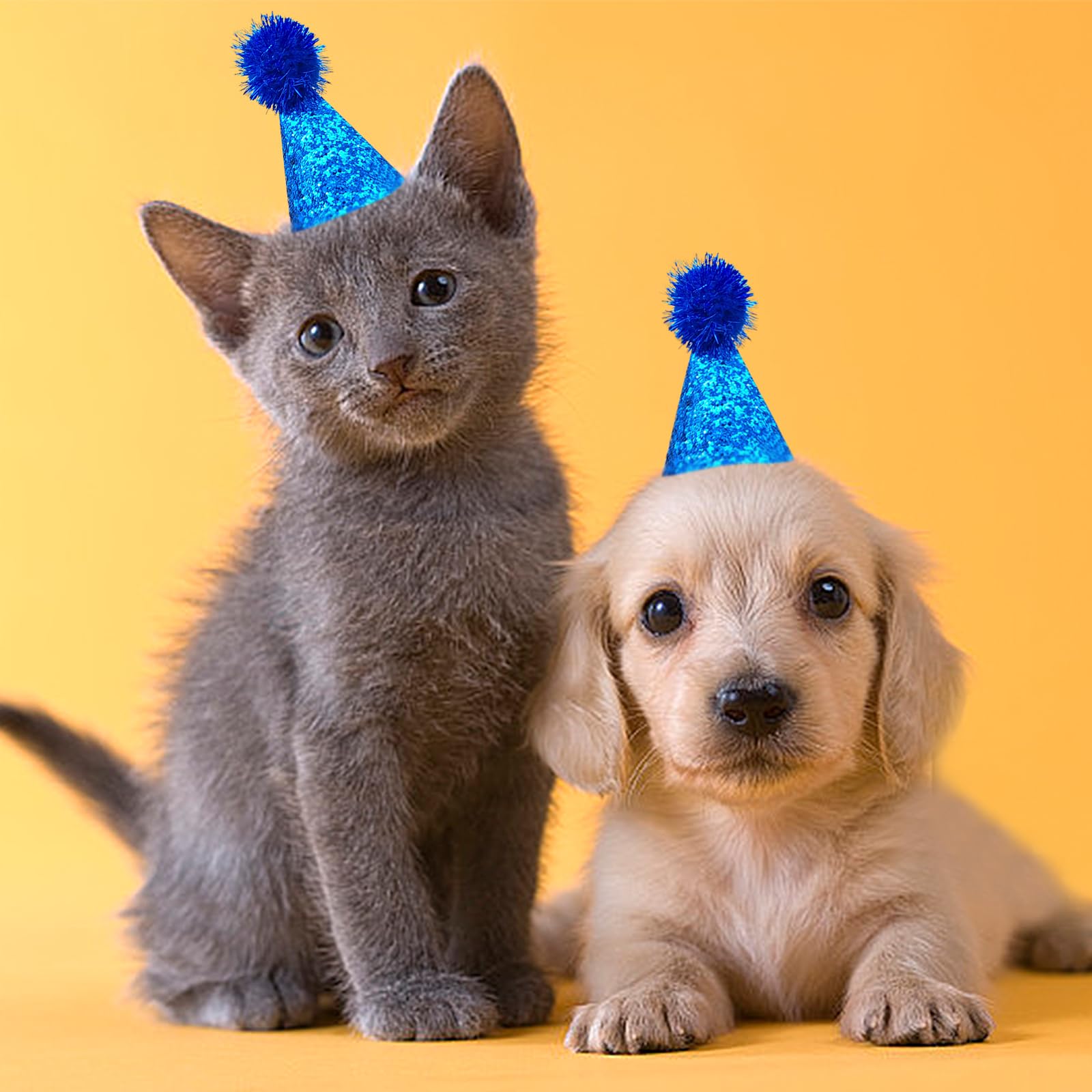 PET SHOW sombrero mini para mascotas lila, complemento encantador para cumpleaños
