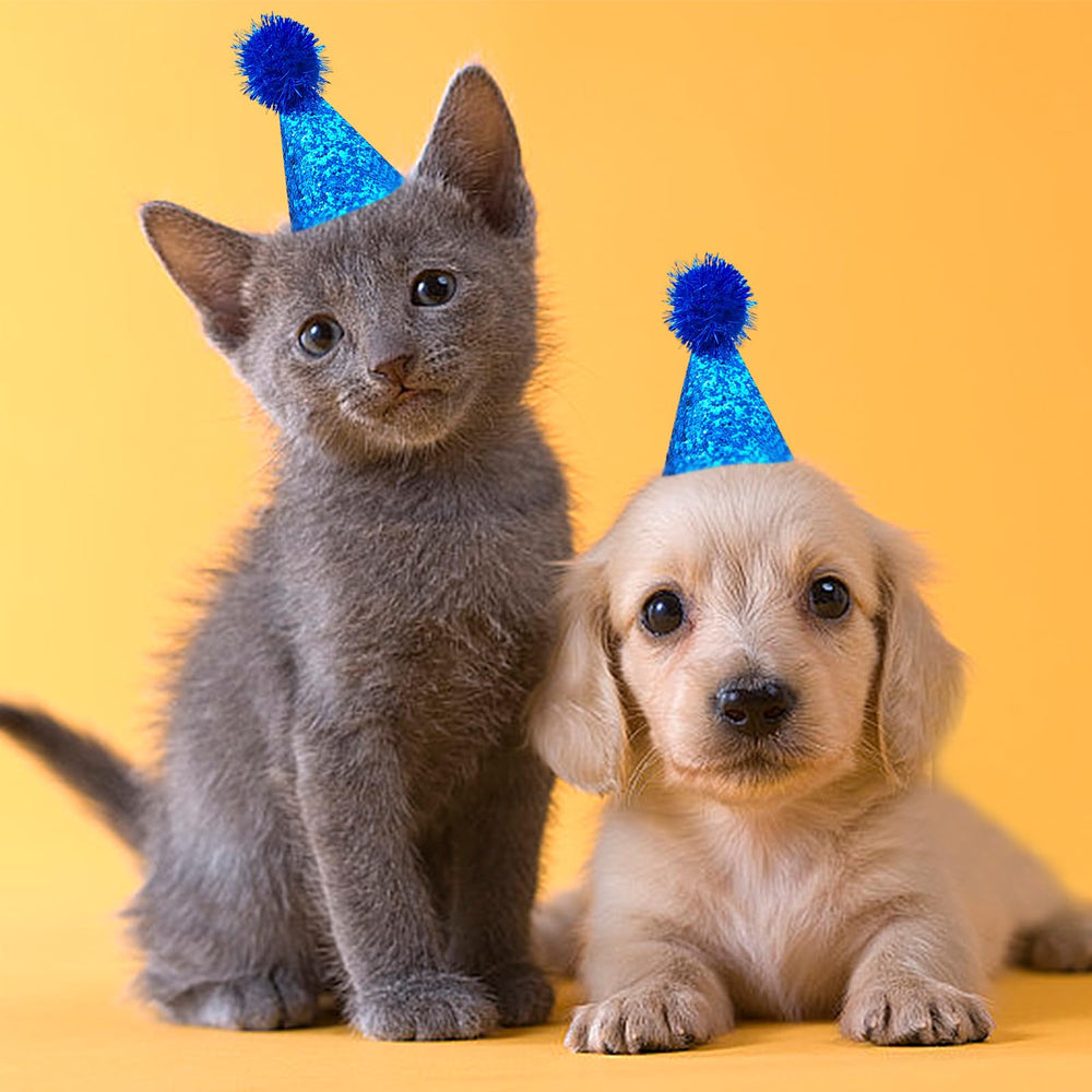 PET SHOW sombrero mini para mascotas lila, complemento encantador para cumpleaños