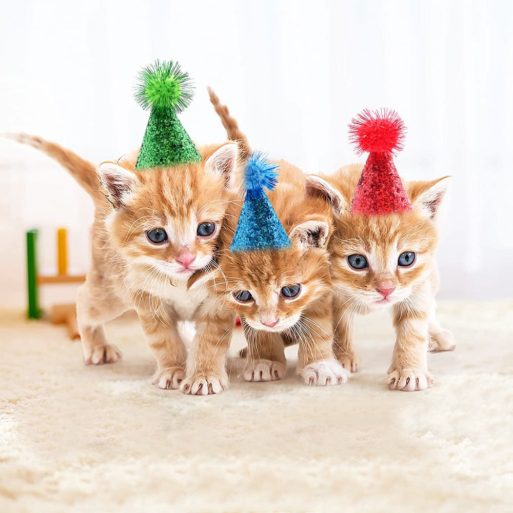 PET SHOW sombrero mini para mascotas naranja, divertido para fiestas