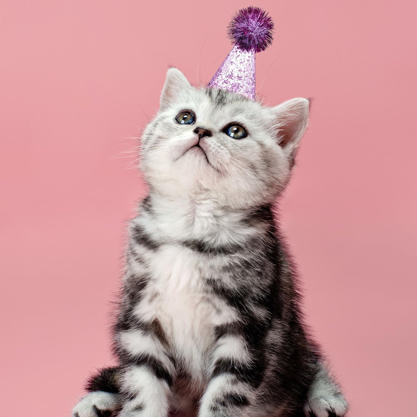 PET SHOW sombrero mini para mascotas rosa, ideal para sesiones de moda