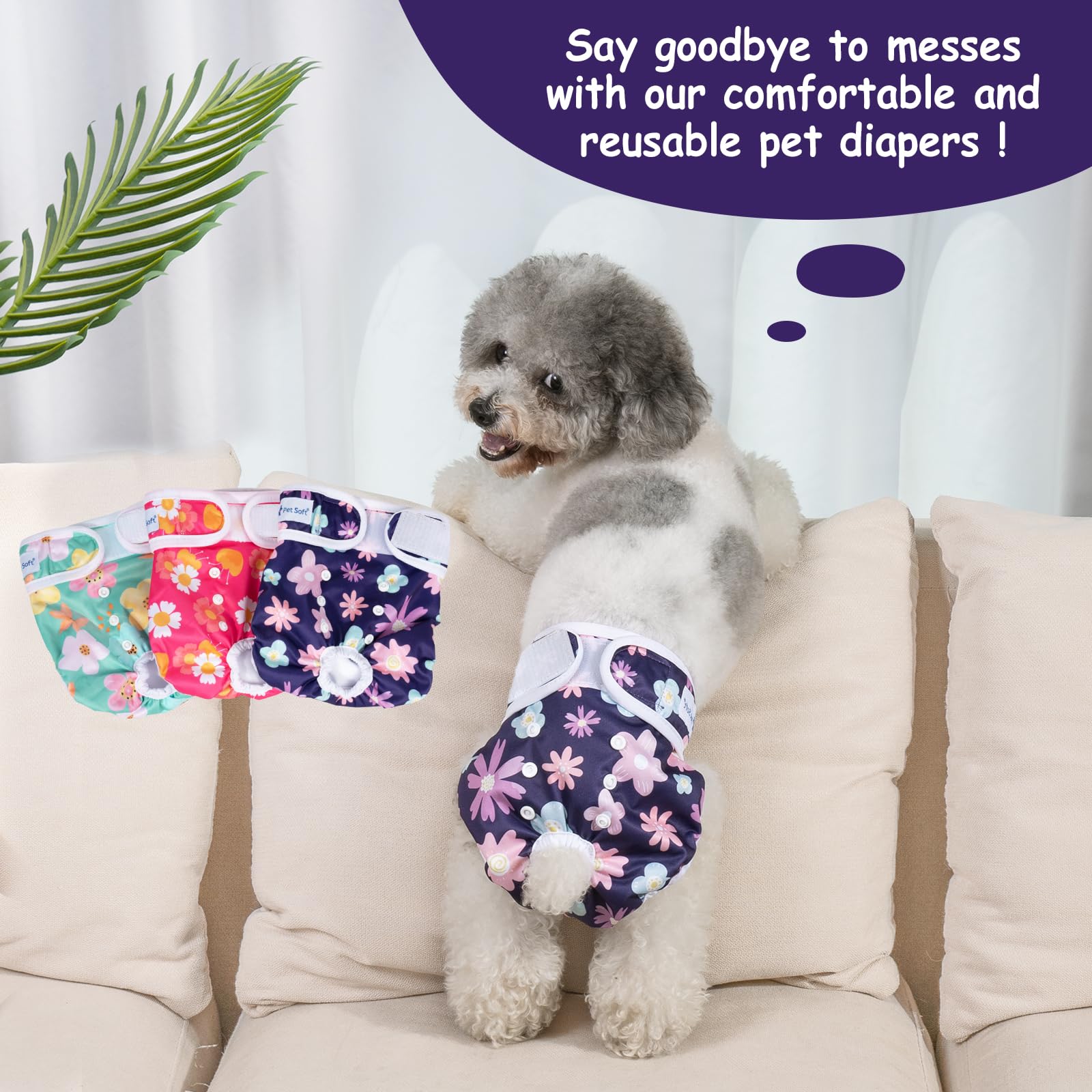 Atención al cliente Pet Soft por 30 días de servicio.
