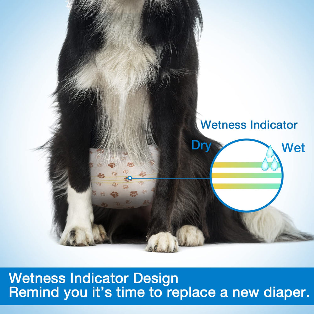 Cintas de velcro ajustables para un ajuste seguro en Pet Soft.