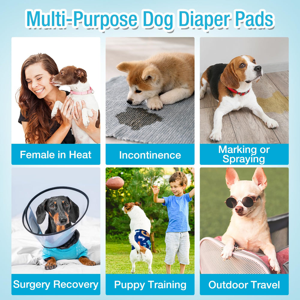 Pet Soft liners compatibles con bandas lavables para perros.