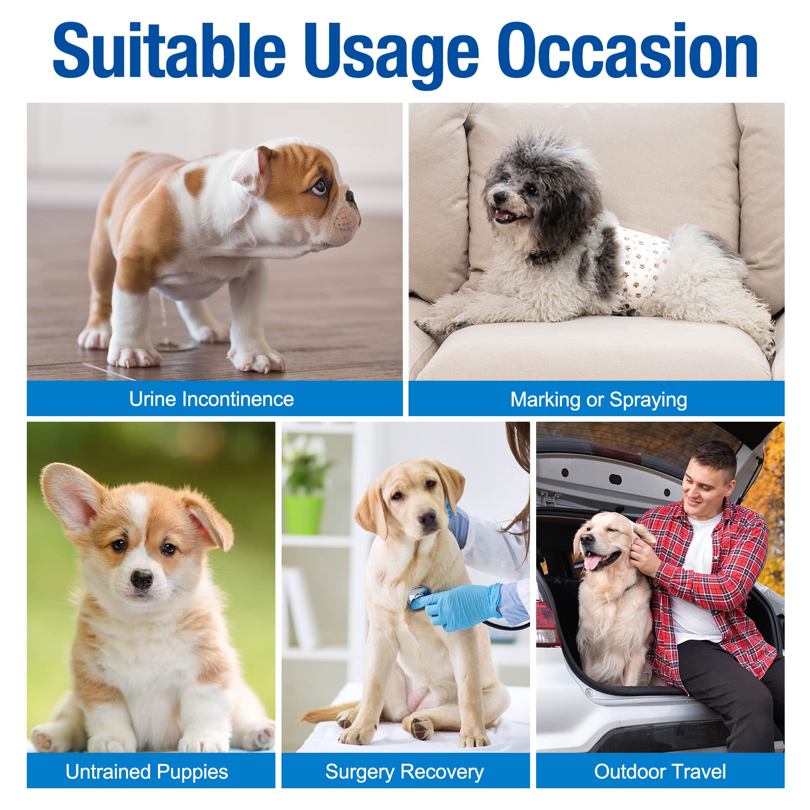 Pet Soft: núcleo ultra absorbente para mayor comodidad y control de fugas
