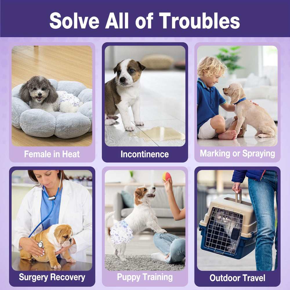 Pet Soft pañales femeninos para perro, núcleo ultra absorbente para mayor comodidad.