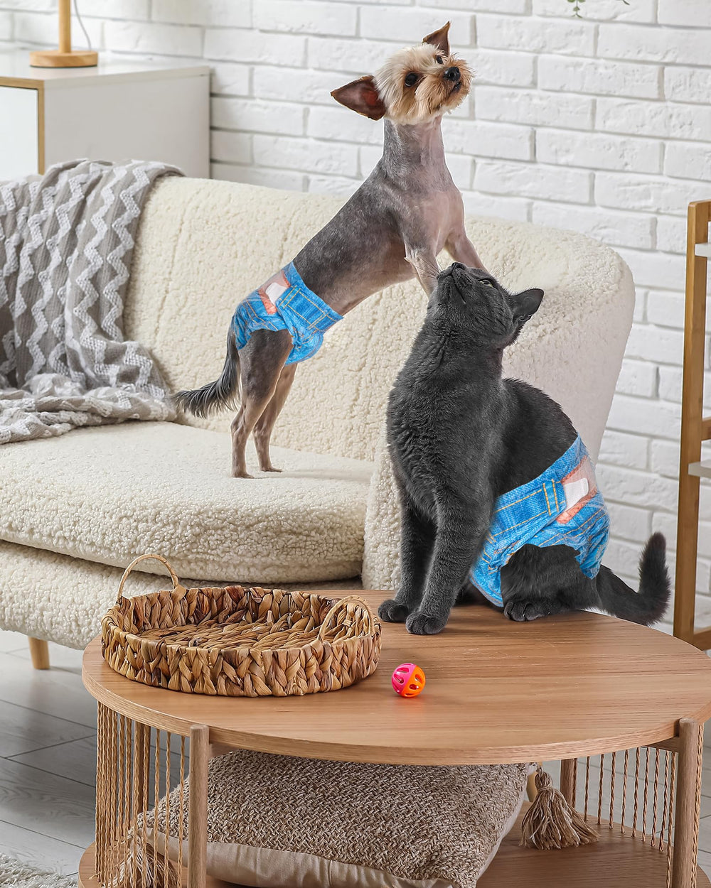 Pañales Pet Soft para gato femenino XS, ajuste suave para gatos pequeños.