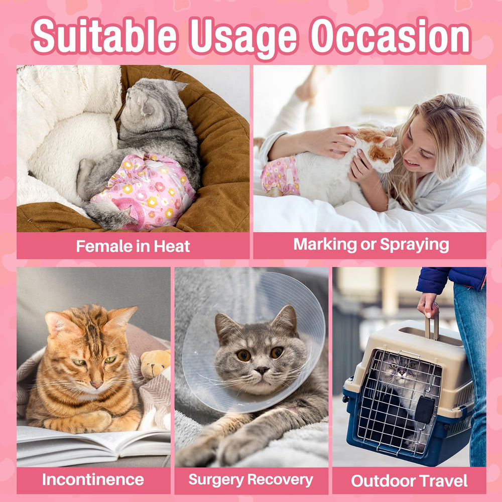 Pañales Pet Soft ideales para gatos pequeños durante viajes.
