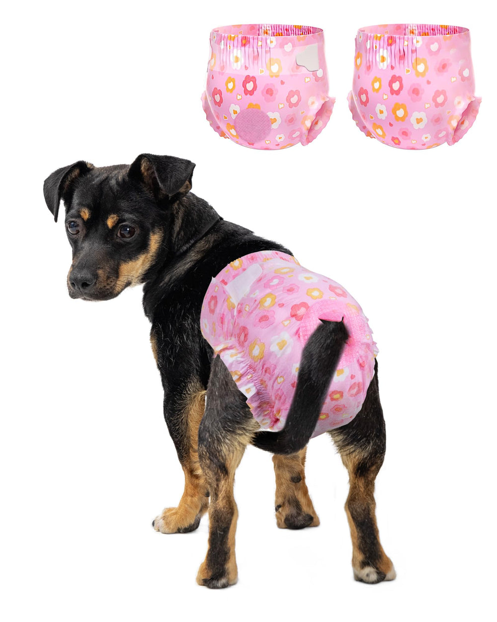 Pet Soft: pañales para perros hembra con ajuste de cola de espuma para comodidad.
