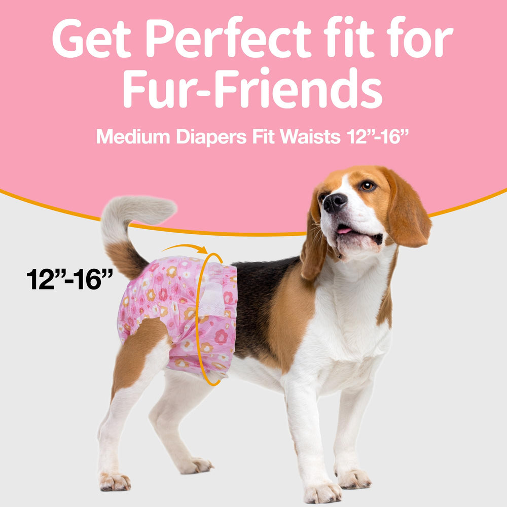 Pet Soft protección 360° contra fugas con núcleo absorbente.