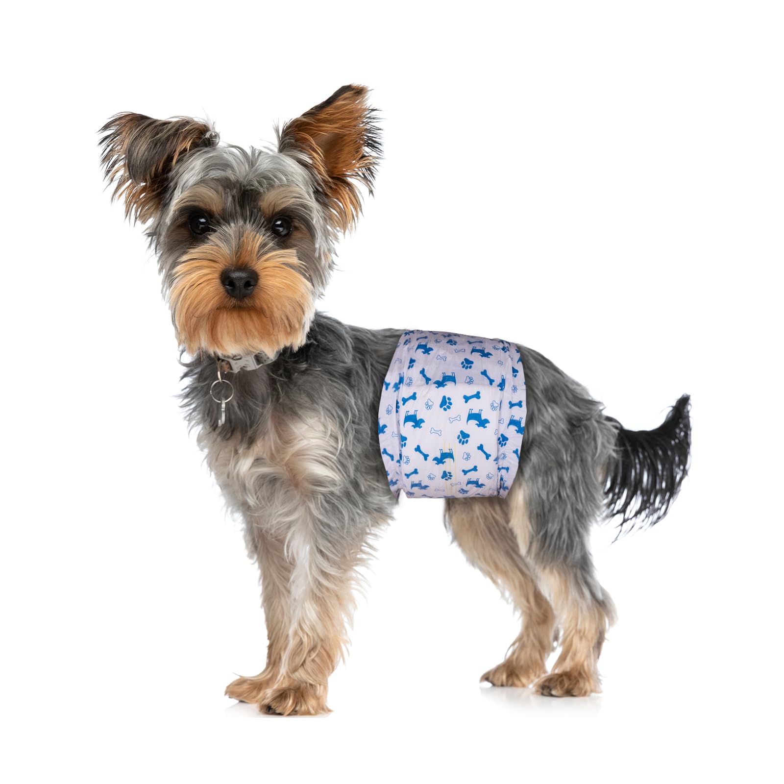 Pet Soft talla XS para cintura de 15 a 33 cm