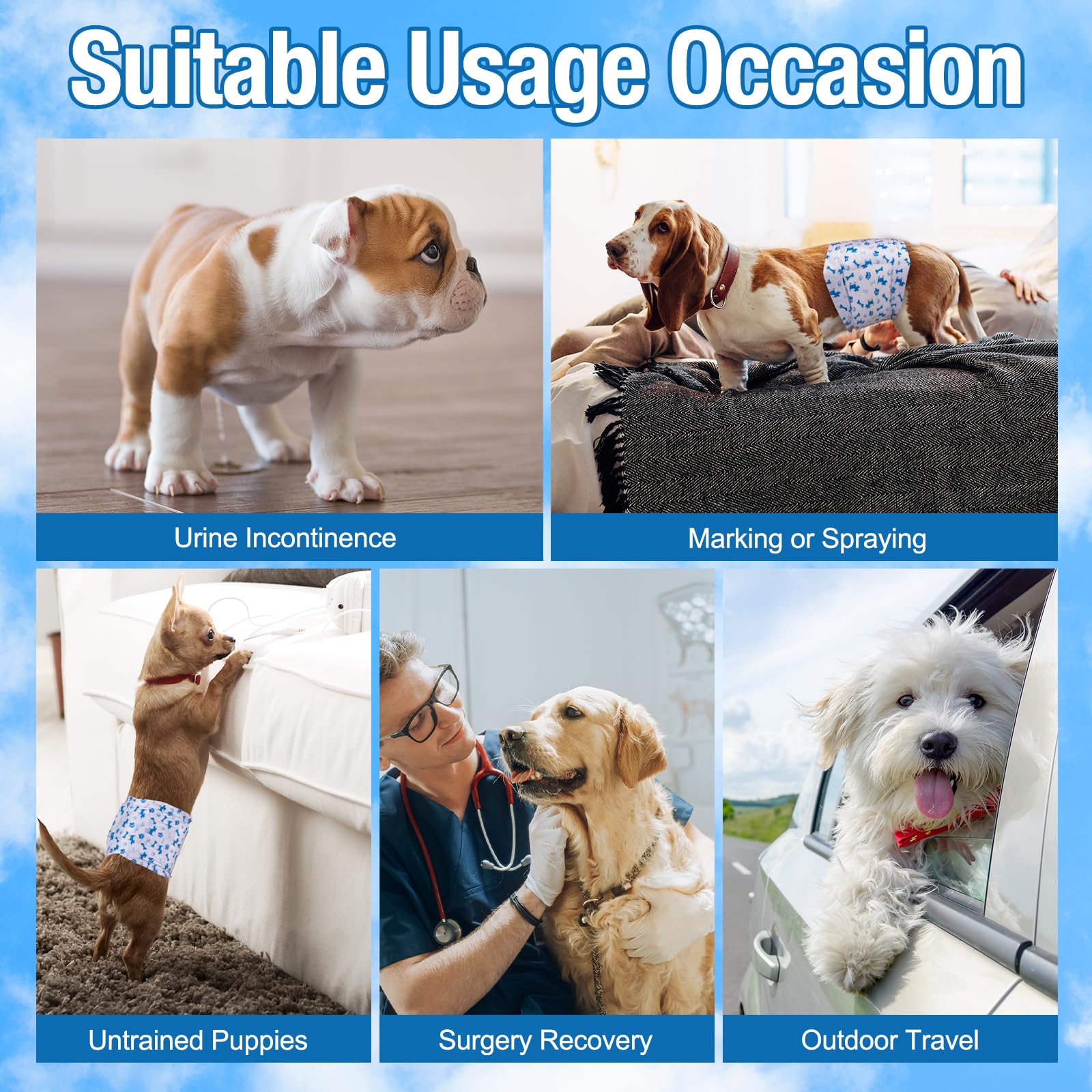 Panales Pet Soft para perro macho xsmall, ajuste rápido para mayor conveniencia.