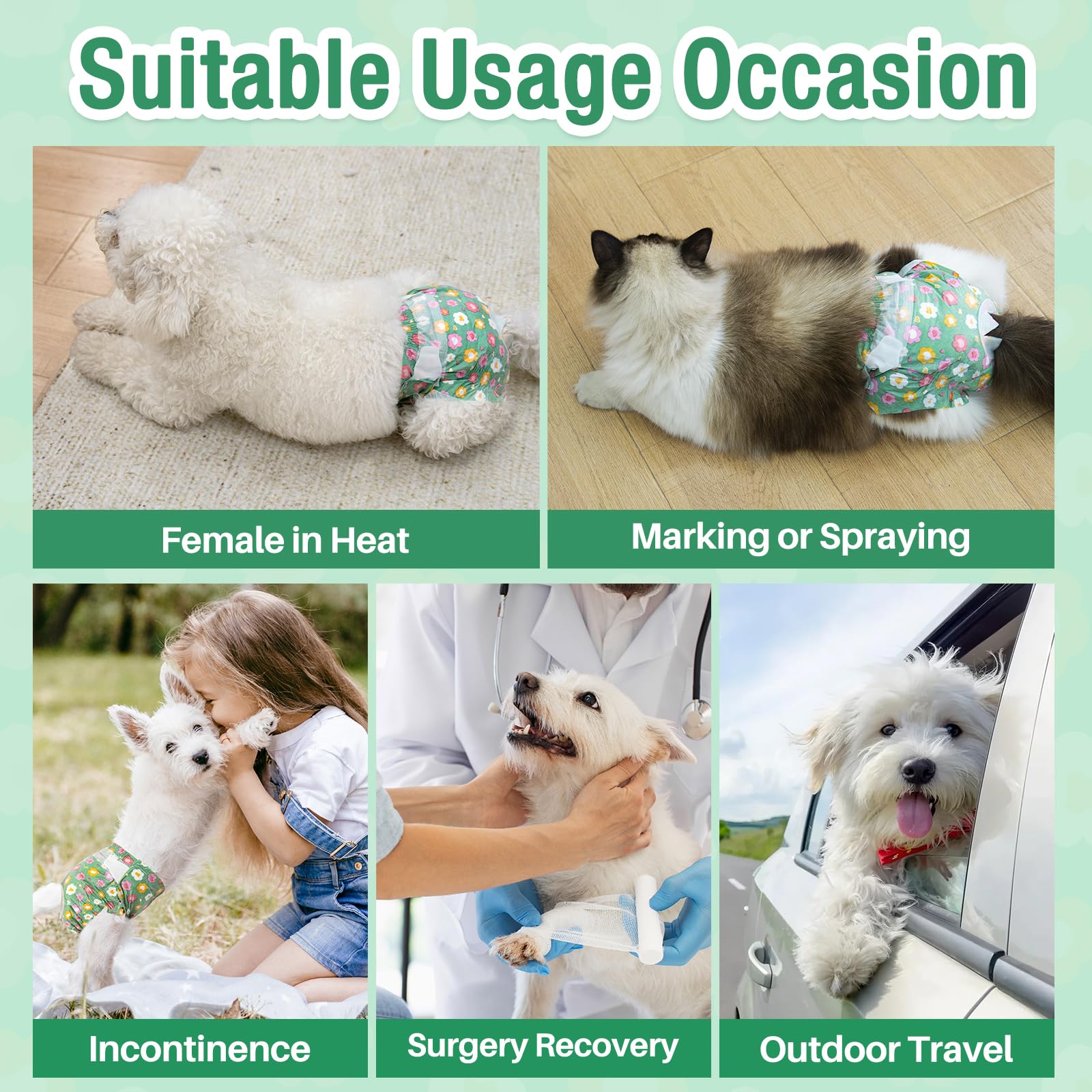 Protección anti fugas Pet Soft durante salidas y paseos.