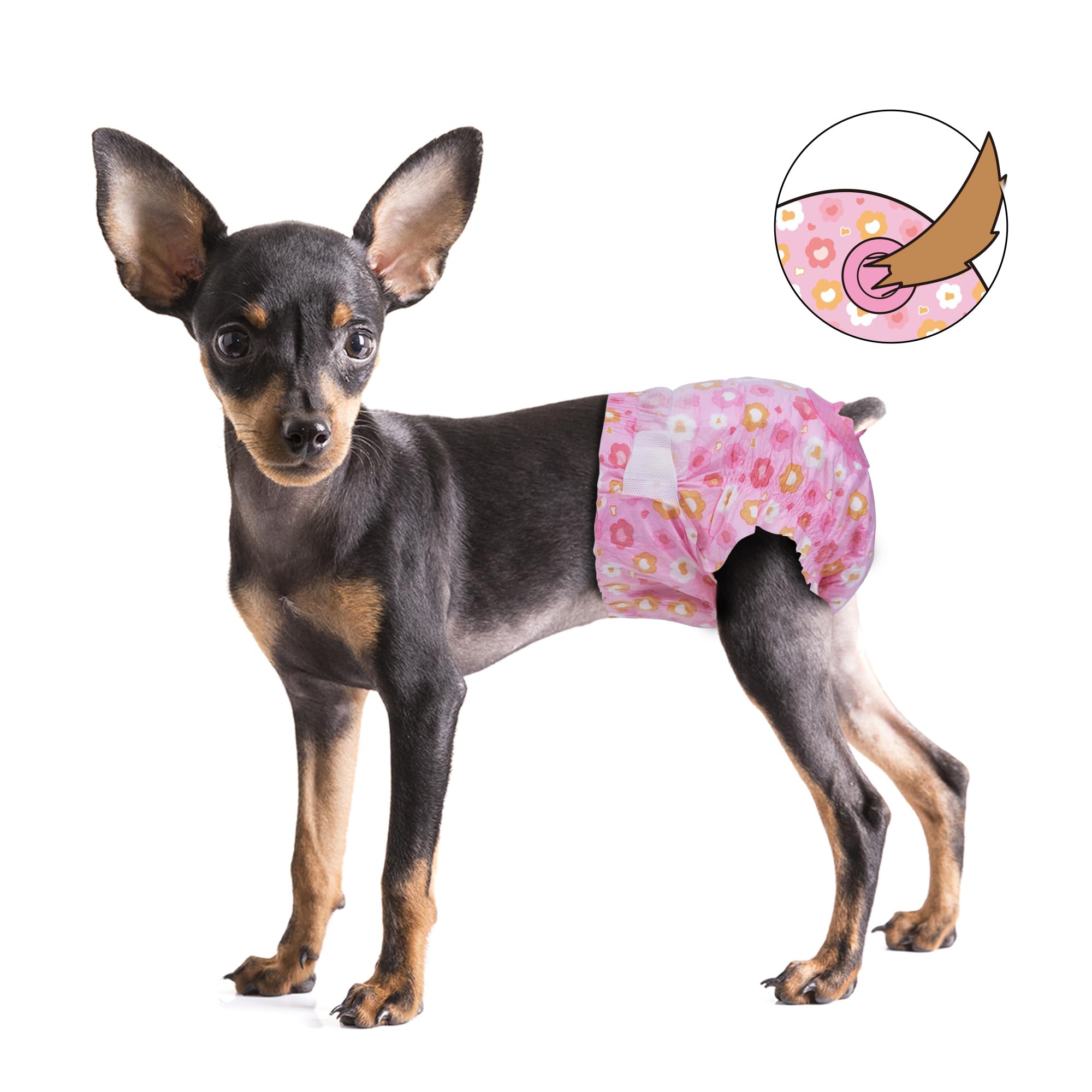 Pet Soft panales para perros hembra, cierre fácil para ponerselos.