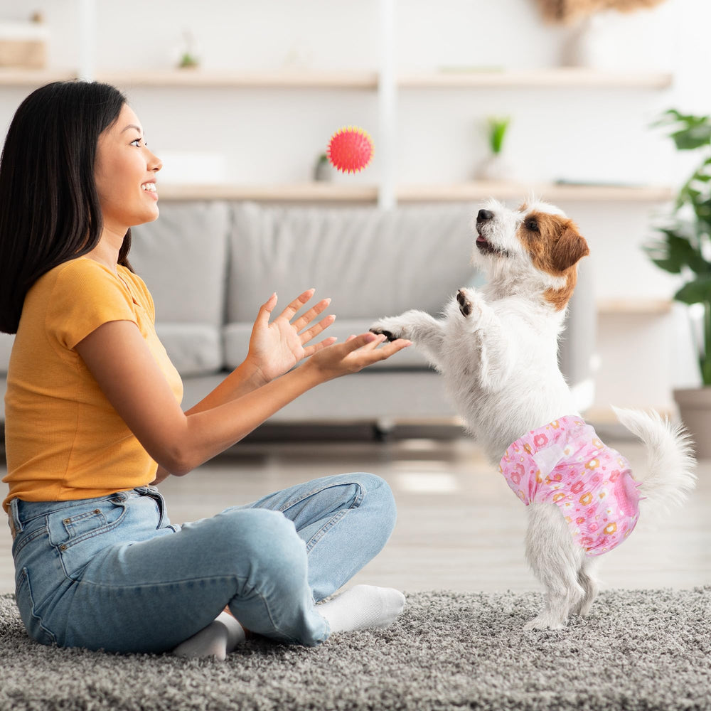 Pet Soft panales para perros hembra, diseño rosado con flores.