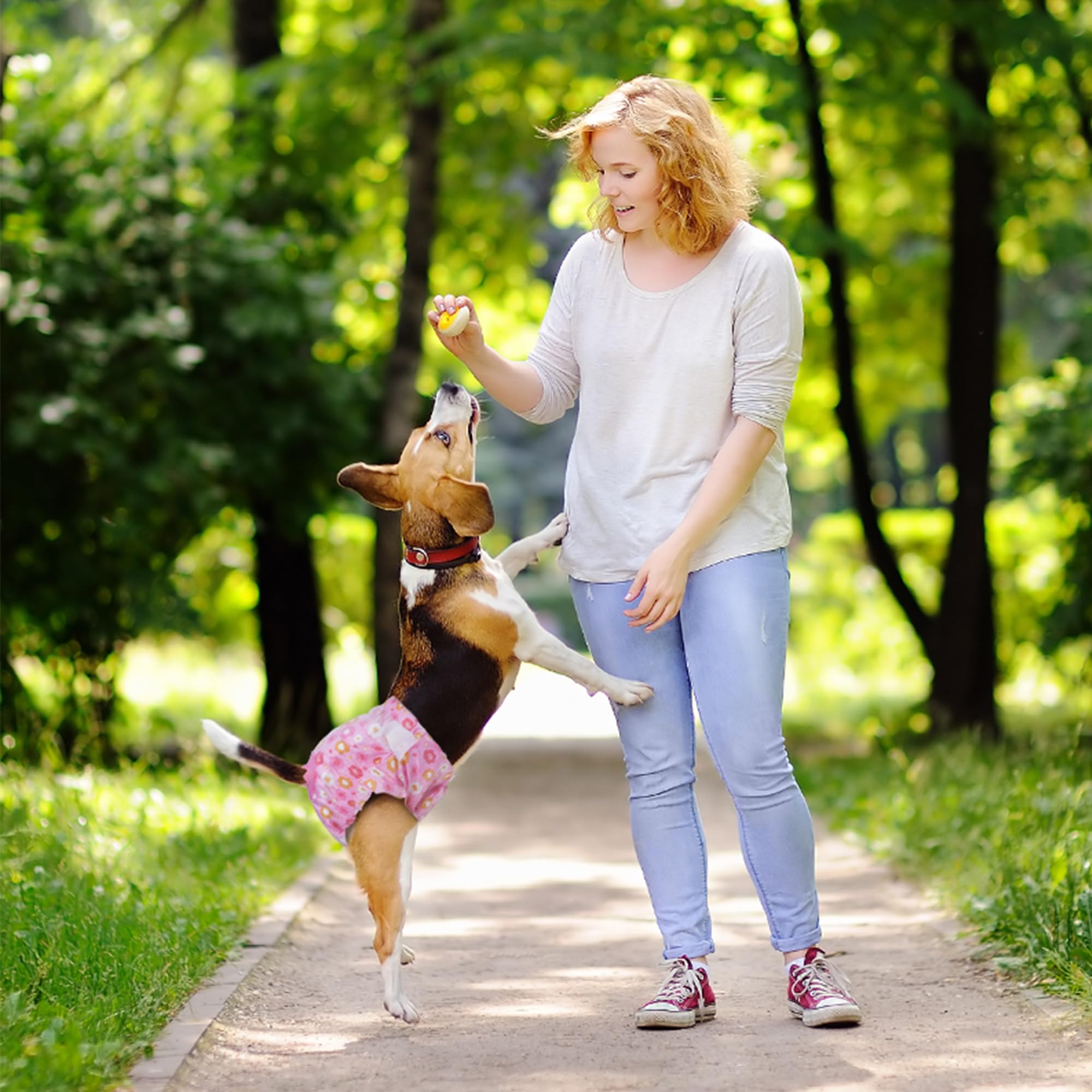 Pet Soft panales para perros hembra, talla pequeña para mascotas pequeñas.