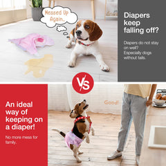 Pet Soft material elástico suave se adapta a la piel del perro.