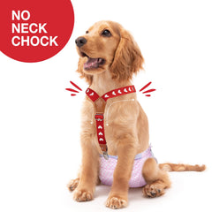 Pet Soft sujetadores para perros sin estrangulamiento, diseño seguro y cómodo.