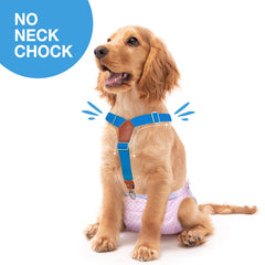 Suspensores Pet Soft sin estrangulacion en el cuello, cómodo para paseos.