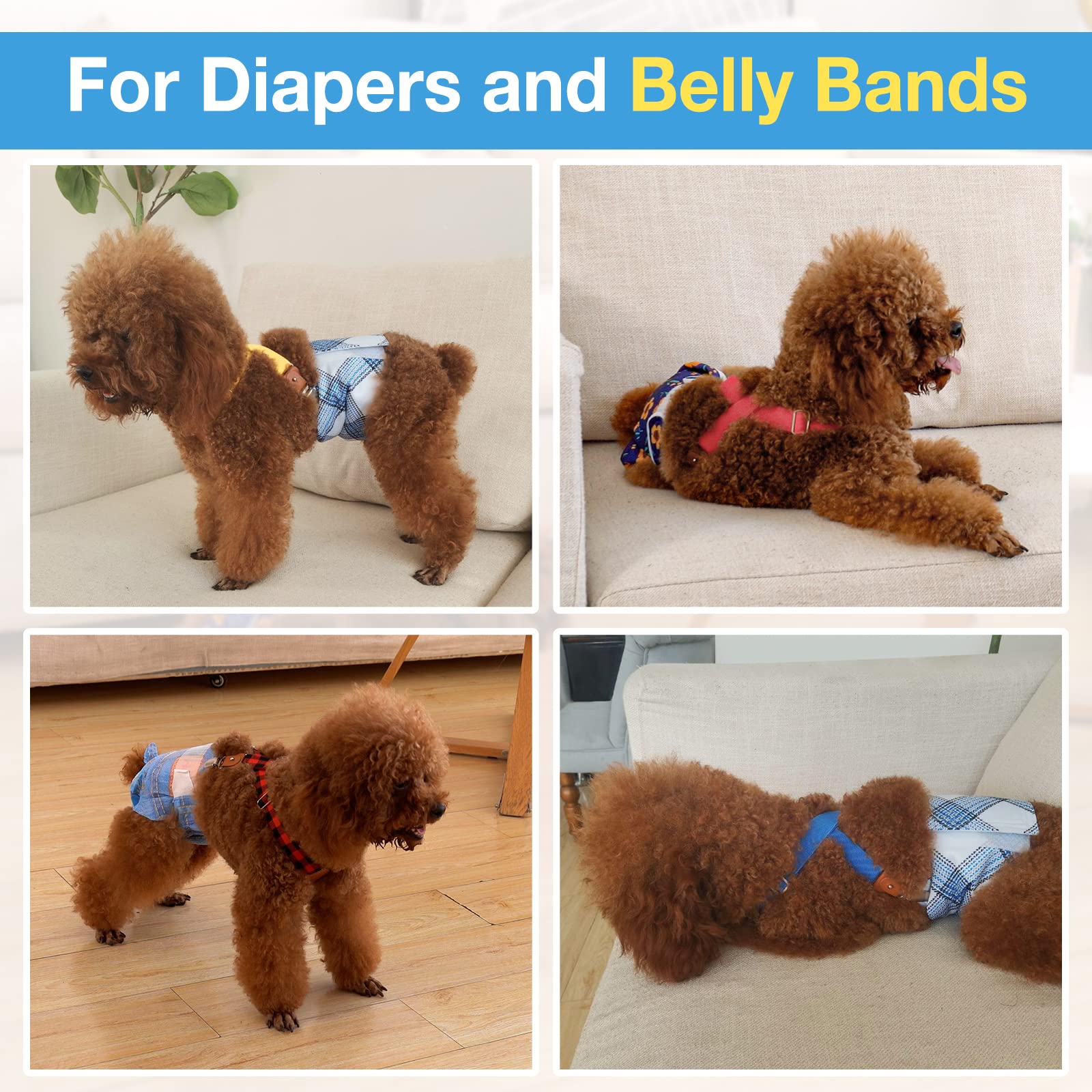 Suspensores Pet Soft uso diario para perros durante paseos y casa.